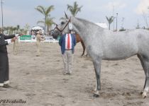 W RM MONCLOA, DE Y . ROBERTO MOLL, CAMPEONA JOVEN DEL CONCURSO. PRESENTA TON MILA